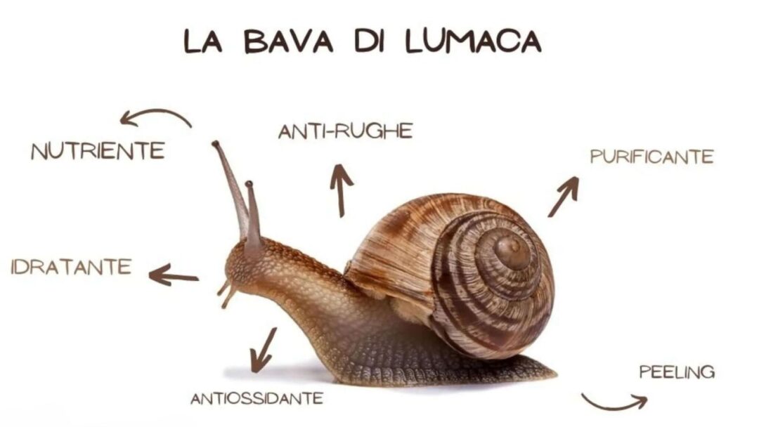 Prodotti Bava di Lumaca