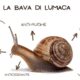 Prodotti Bava di Lumaca