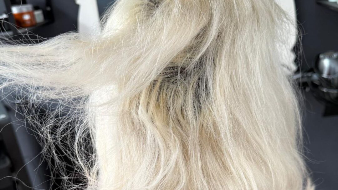 Capelli decolorati danneggiati e spezzati con radici visibili