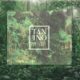 Logo Tanino Therapy su sfondo foresta amazzonica, immagine simbolo della Tanninoplastia come alternativa naturale alla Nanoplastia.