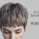 Professional Pixie Shaggy haircut on a woman with ash-blonde hair, featuring layered texture and choppy edges, including English and Chinese typography.