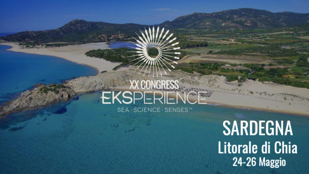 Veduta aerea panoramica della splendida spiaggia e del mare cristallino del Litorale di Chia in Sardegna, con la grafica ufficiale del XX Congress Eksperience.